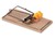 mouse trap with cheese