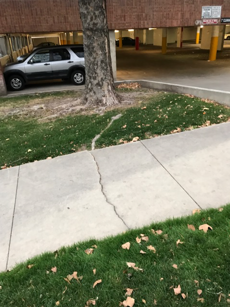Another crack in sidewalk